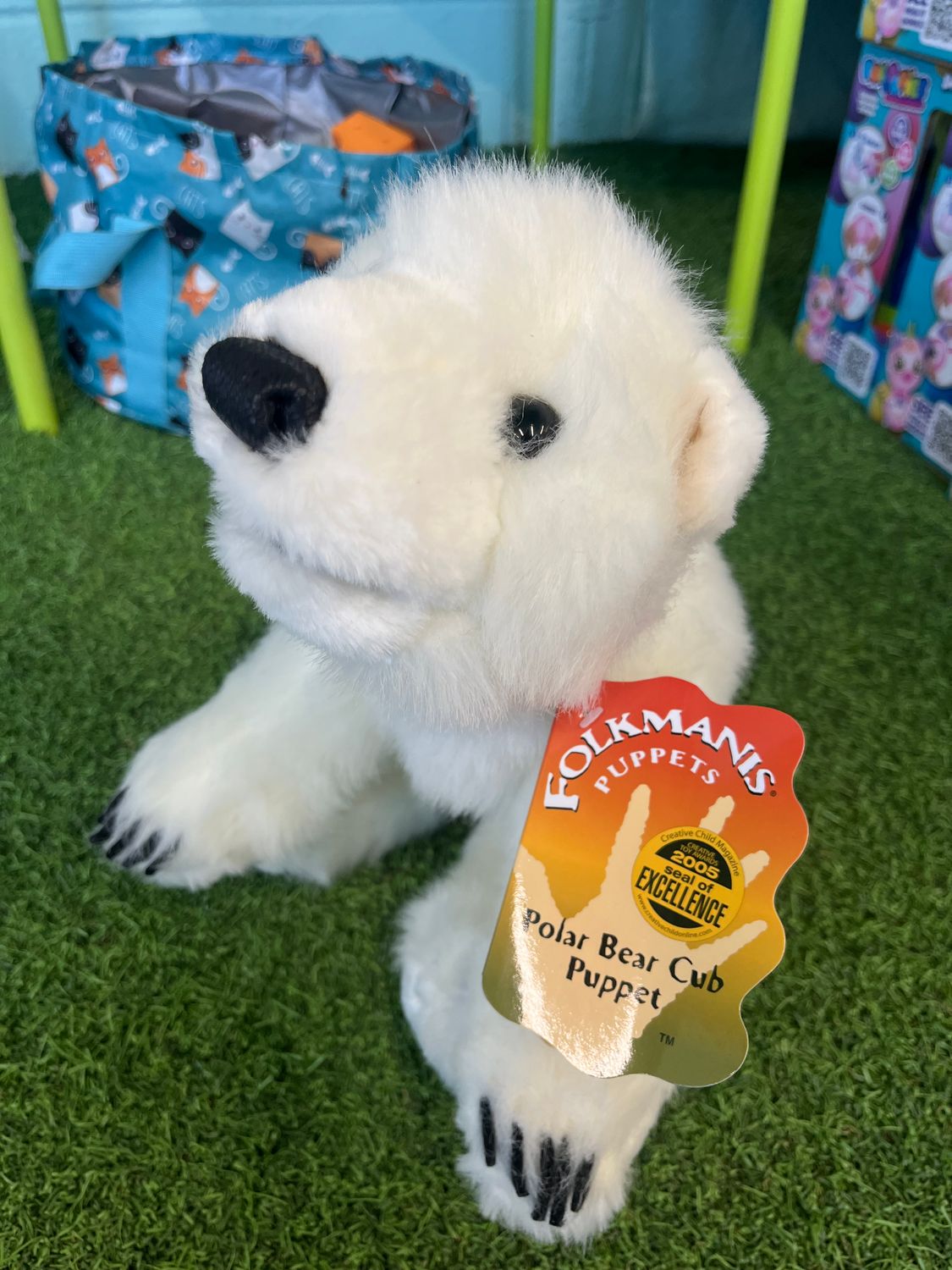 Bear, Polar Cub