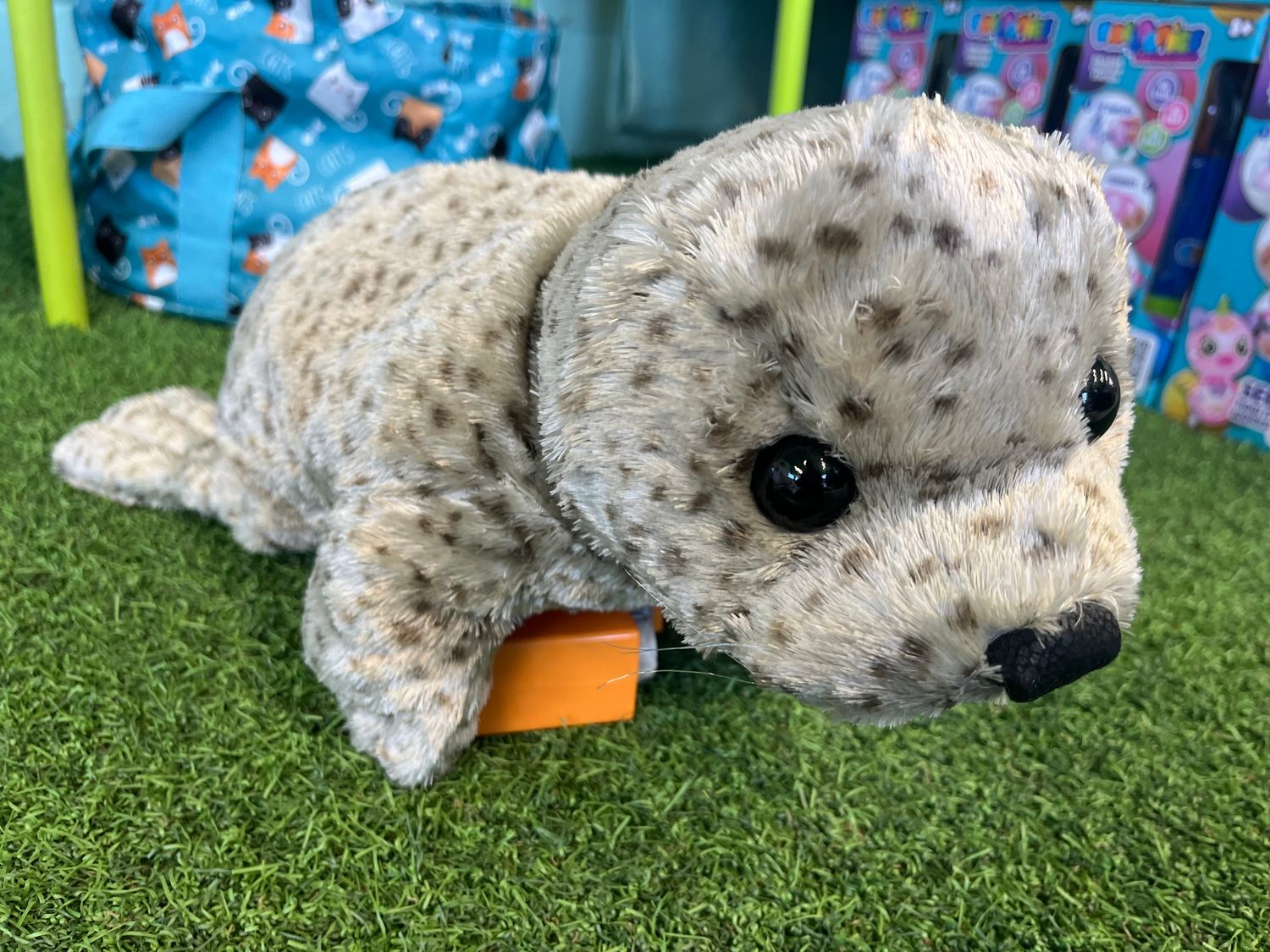 Seal, Harbor