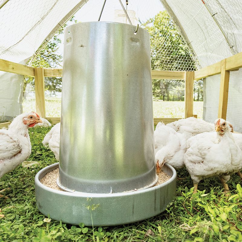 44 pound galvanized feeder