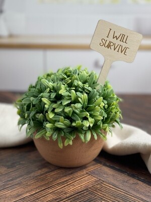 I Will Survive Plant Stake