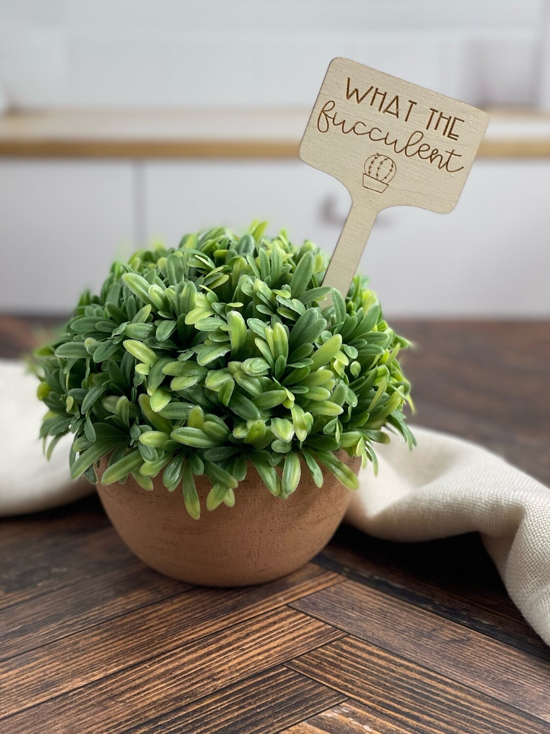 What The Fucculent Plant Stake