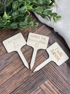 What The Fucculent Plant Stake