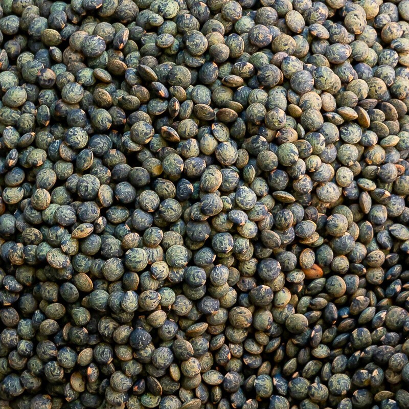Lentilles vertes (500g)