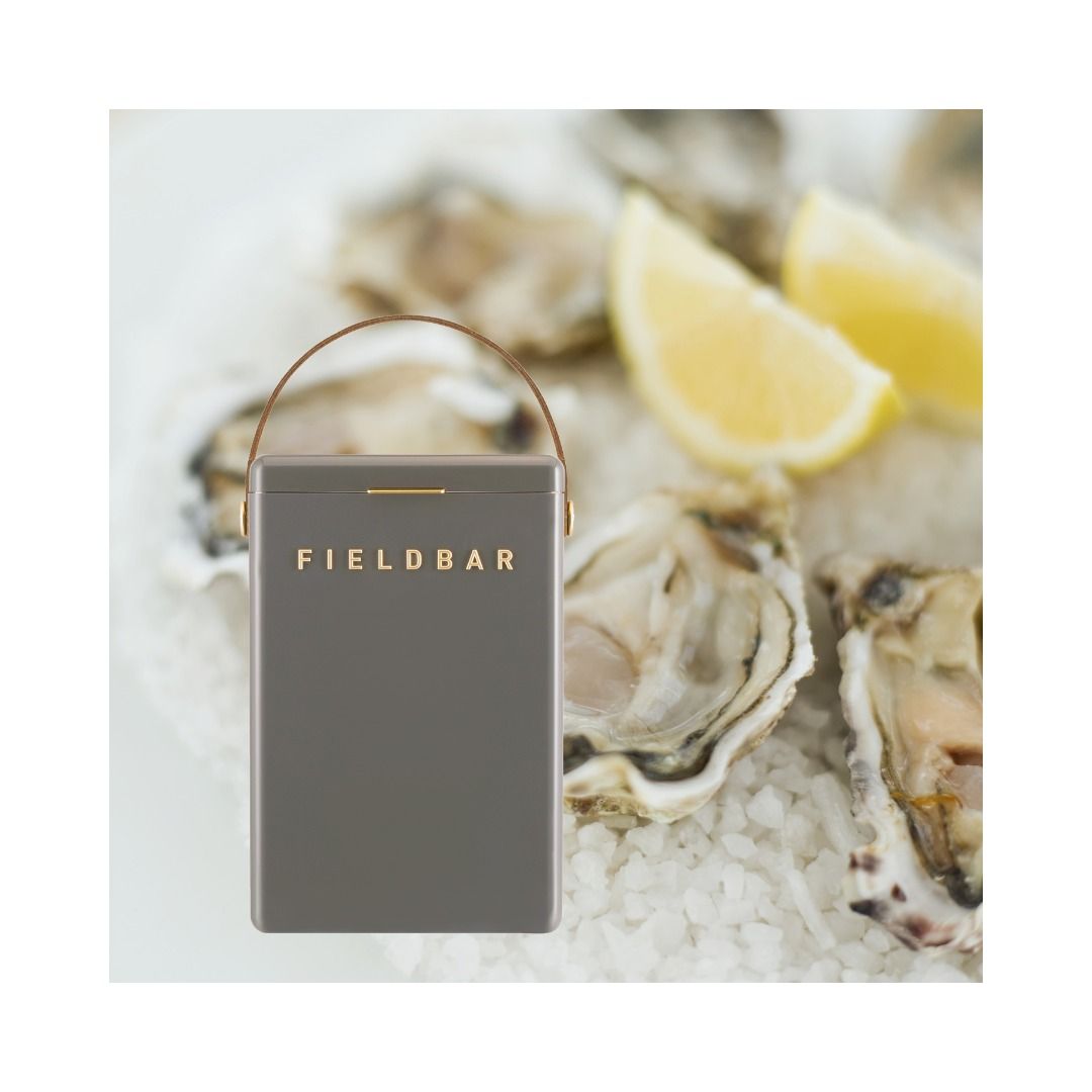 F I E L D B A R | Cooler box  Oyster 🦪 Grey