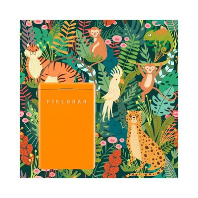 F I E L D B A R | Cooler box Orchard 🍊 Orange