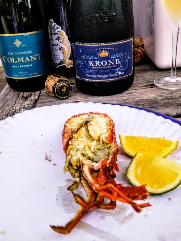 Lekka by the sea ⚓ 10-course fish 🐟 &amp; 🥂 on the West Coast!