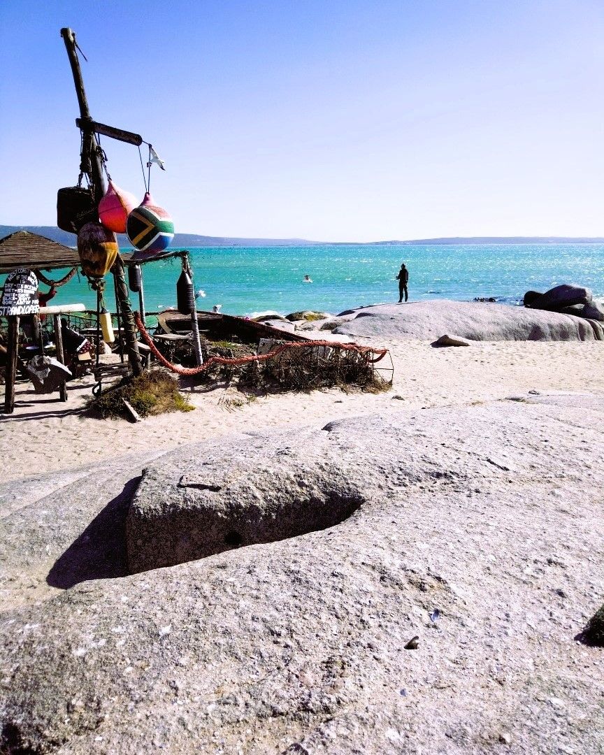 Lekka by the sea ⚓ 10-course fish 🐟 &amp; 🥂 on the West Coast!