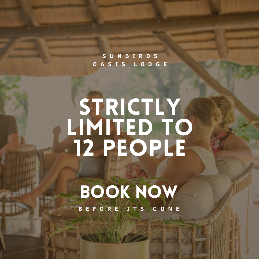 The Sparkling Bushveld- Gourmet Safari 🦁🍾