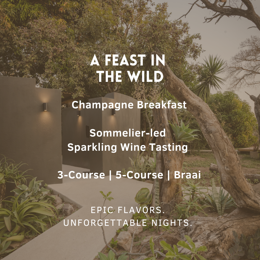 The Sparkling Bush- Gourmet Safari 🦁🍾