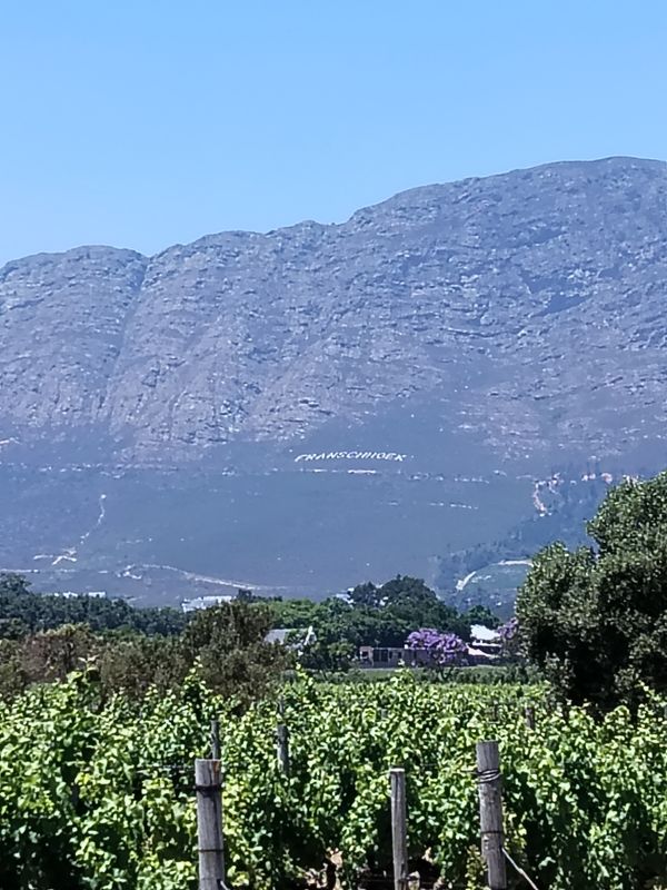✨ Fascinating Franschhoek – Wine &amp; Sparkle Tour