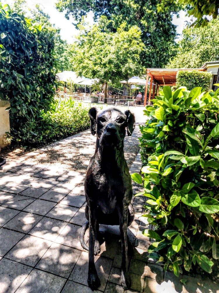 ✨ Fascinating Franschhoek – Wine &amp; Sparkle Tour