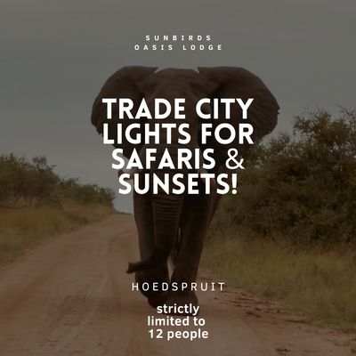 ​The Sparkling Bushveld Escape 🦒👀 3 days