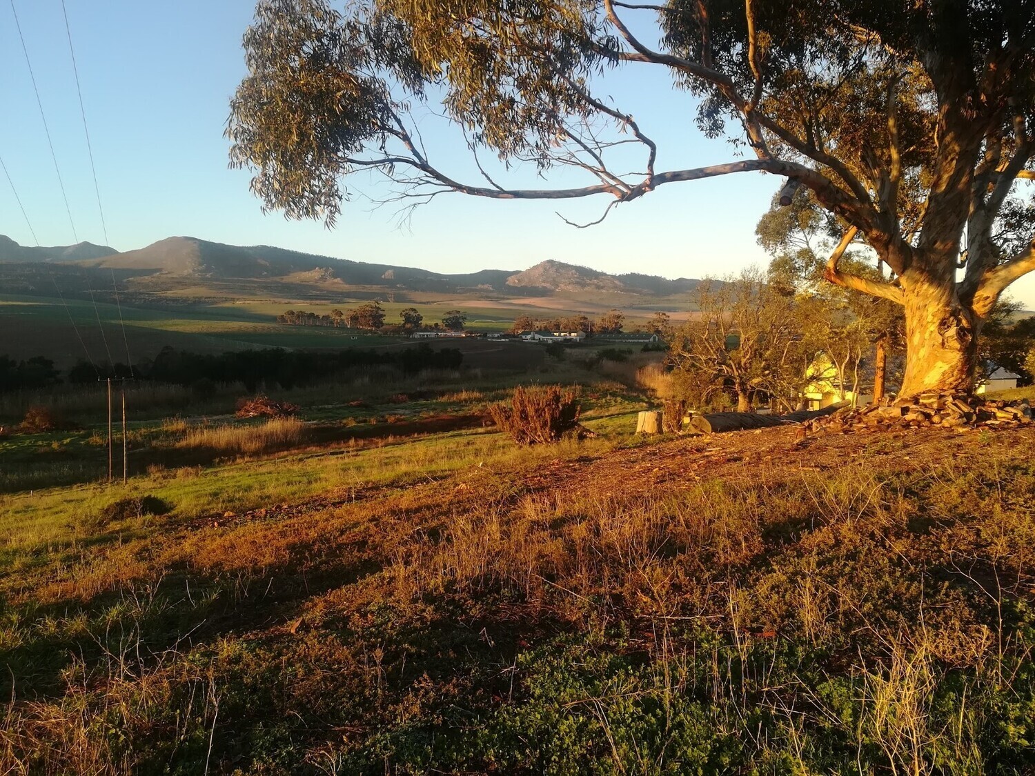 Exclusive BUBBLY Tasting 🍾 Botrivier - Event Ticket