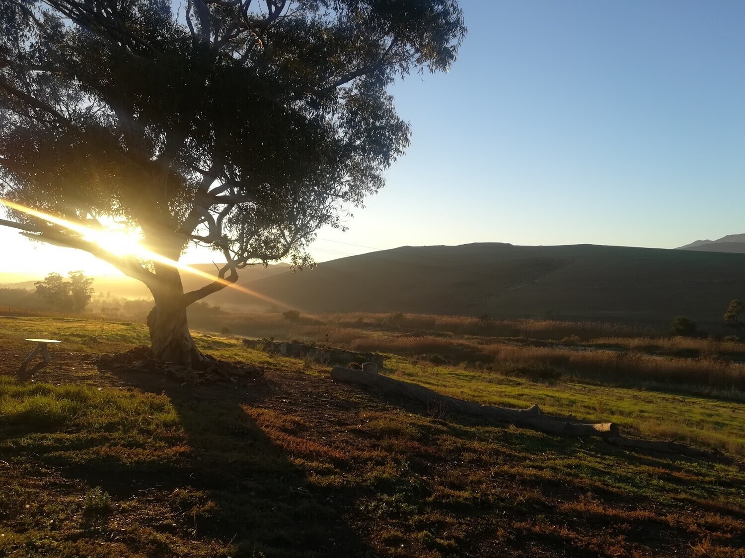 Exclusive BUBBLY Tasting 🍾 Botrivier - Event Ticket