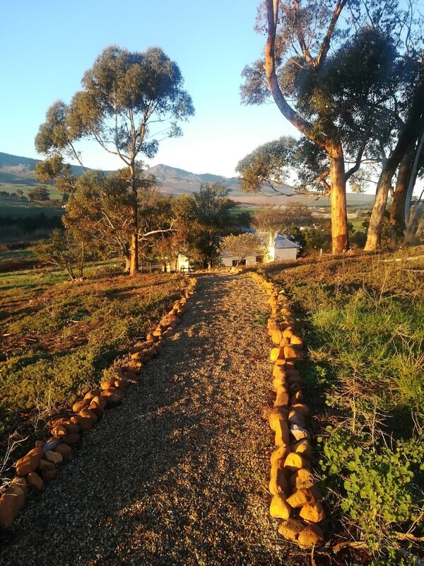 Exclusive BUBBLY Tasting 🍾 Botrivier - Event Ticket