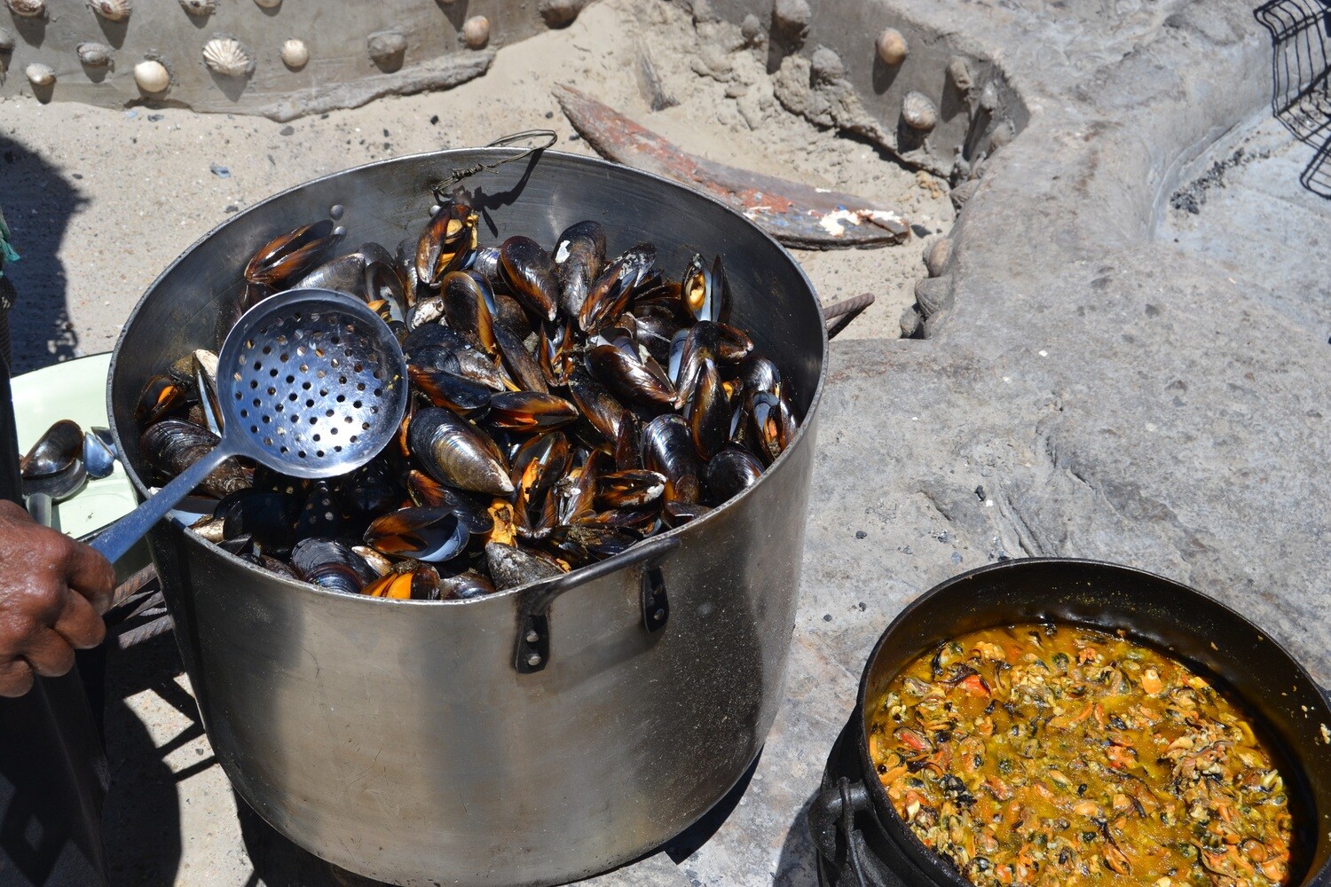 Lekka au bord de la mer ⚓ 10 plats de poisson 🐟 &amp; 🥂 sur la côte ouest!