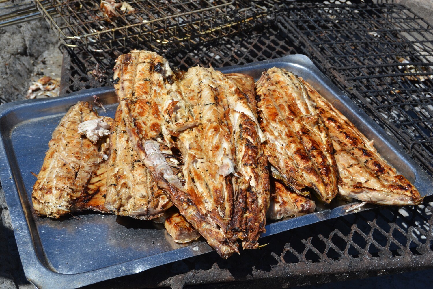 Lekka au bord de la mer ⚓ 10 plats de poisson 🐟 &amp; 🥂 sur la côte ouest!