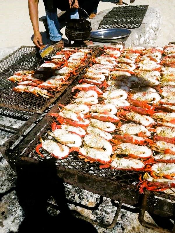 Lekka au bord de la mer ⚓ 10 plats de poisson 🐟 &amp; 🥂 sur la côte ouest!