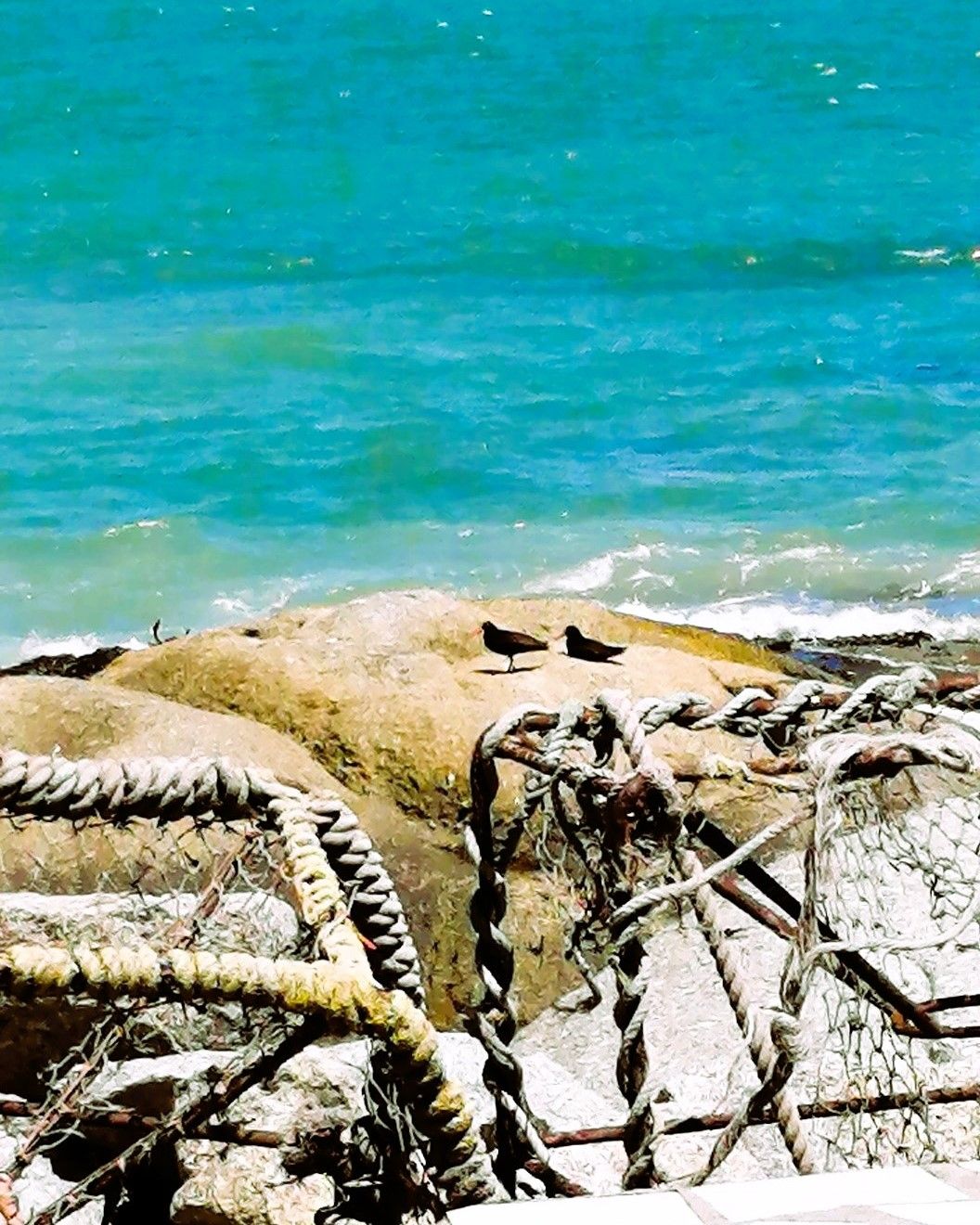 Lekka au bord de la mer ⚓ 10 plats de poisson 🐟 &amp; 🥂 sur la côte ouest!