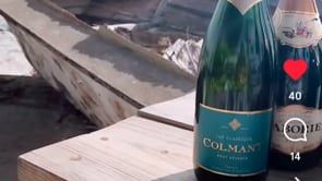 Lekka au bord de la mer ⚓ 10 plats de poisson 🐟 &amp; 🥂 sur la côte ouest!