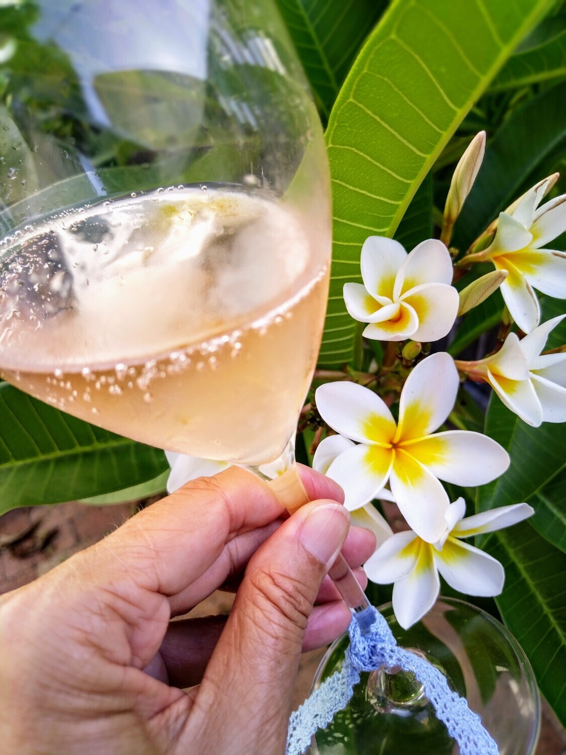 Erster Stern ⭐ Erlebnis Kurs - Cape Wine Academy- Kapstadt