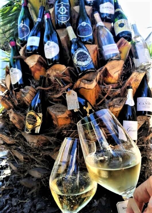 Erster Stern ⭐ Erlebnis Kurs - Cape Wine Academy- Kapstadt