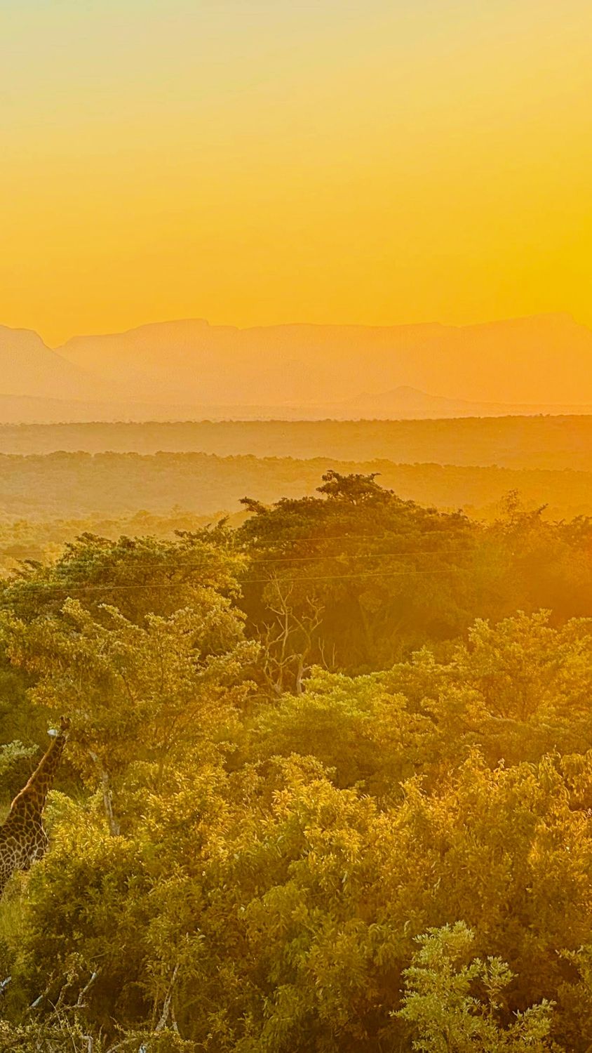 ​The Sparkling Bushveld Escape 🦒👀 3 days