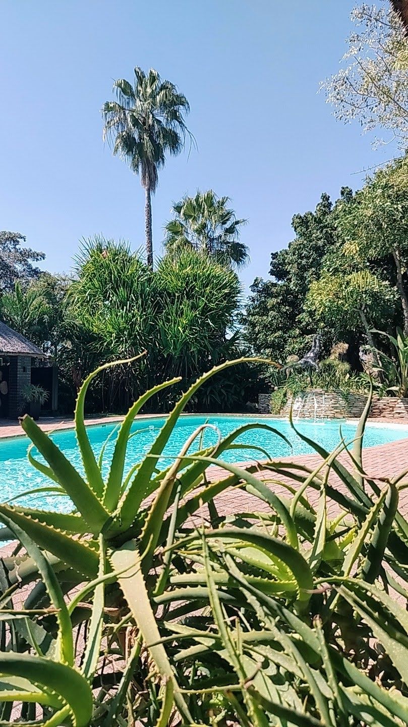 ​The Sparkling Bushveld Escape 🦒👀 3 days