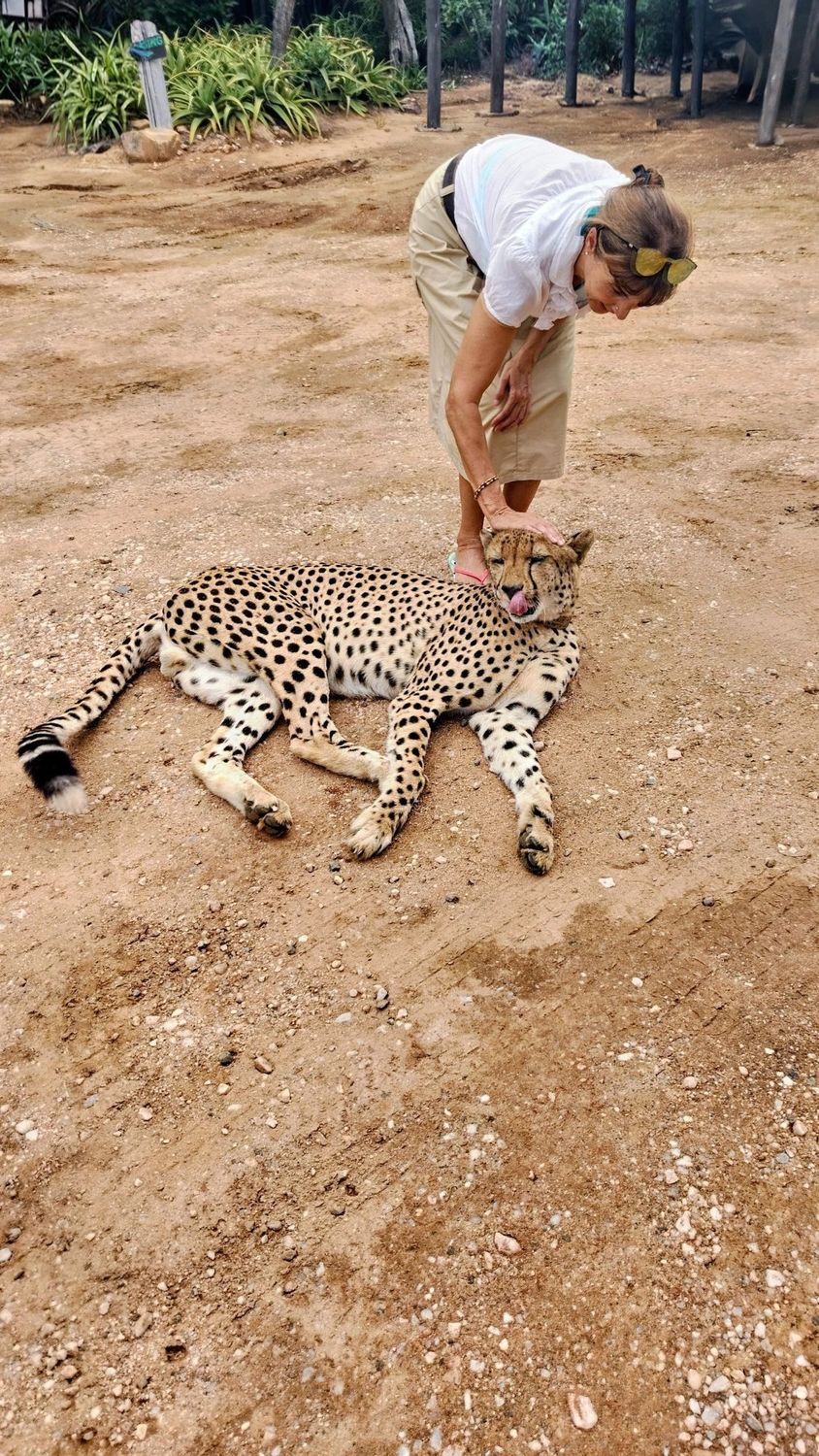 ​The Sparkling Bushveld Escape 🦒👀 3 days