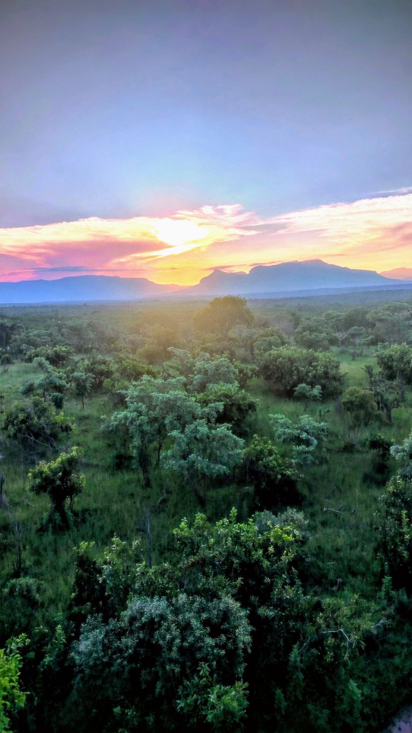 ​The Sparkling Bushveld Escape 🦒👀 3 days