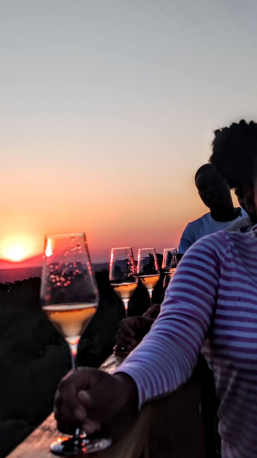 The Sparkling Bushveld – Gourmet Safari 🦁🍾 4 Days