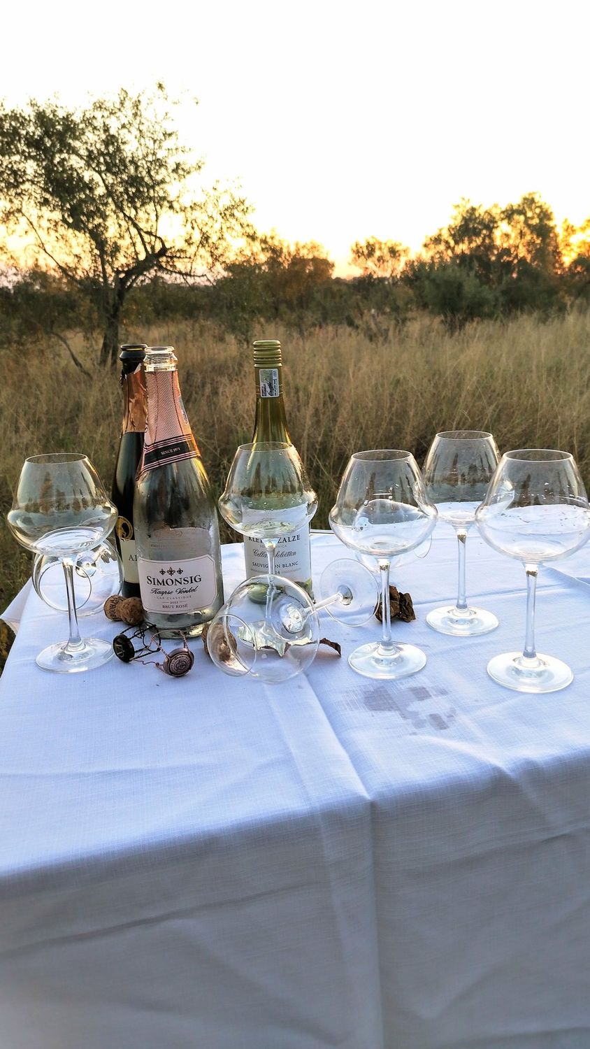 The Sparkling Bushveld – Gourmet Safari 🦁🍾 4 Days