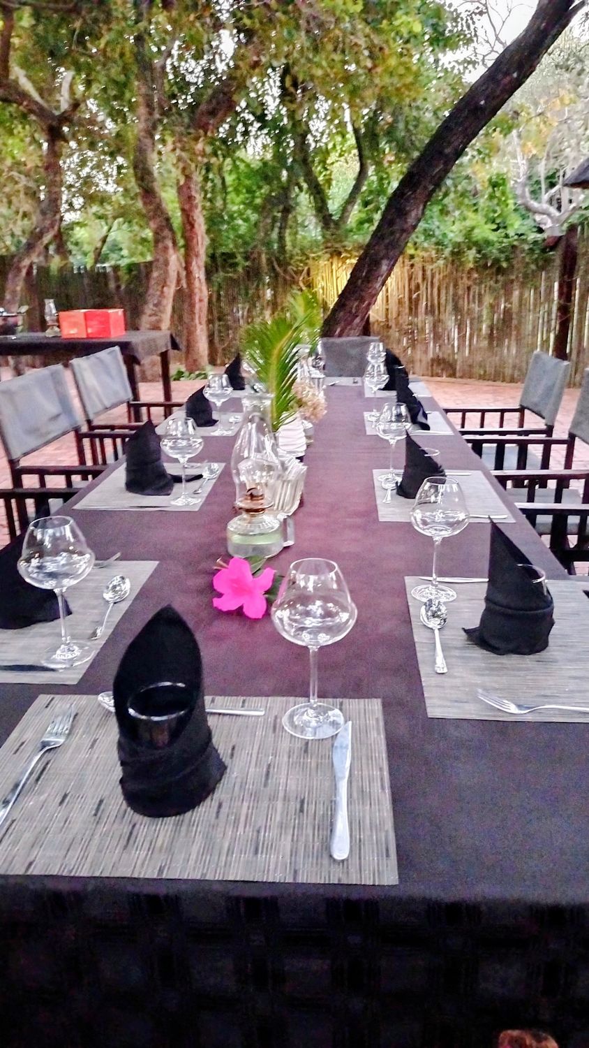 The Sparkling Bushveld – Gourmet Safari 🦁🍾 4 Days