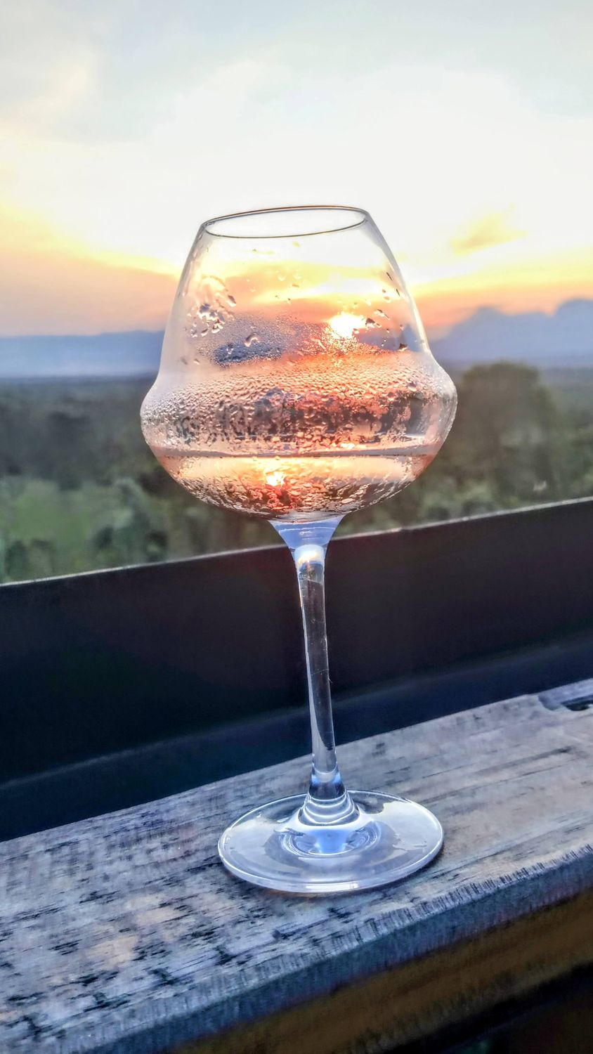 The Sparkling Bushveld – Gourmet Safari 🦁🍾 4 Days