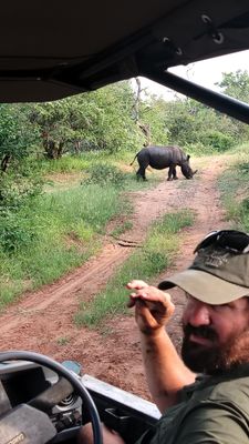 Le Bushveld Étincelant -🦁🍾 Safari Gourmand 4 Jours