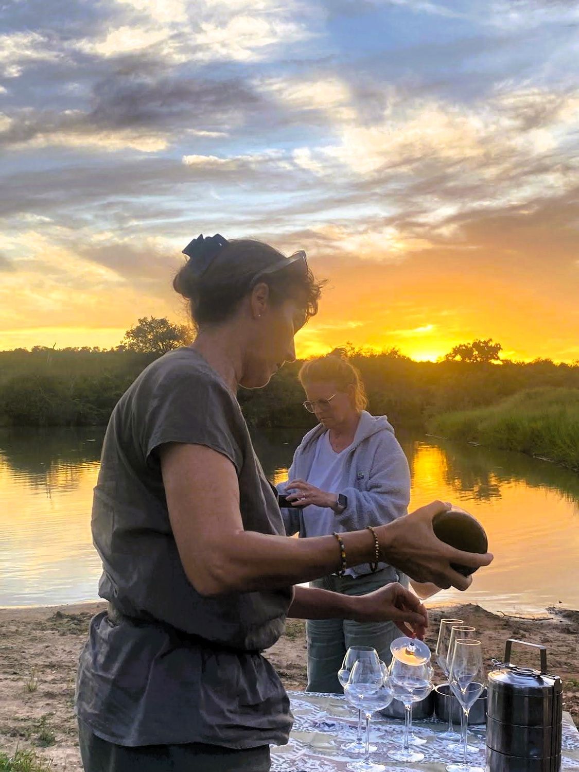Stars, Wine &amp; Wilderness 🌿 🦒⭐