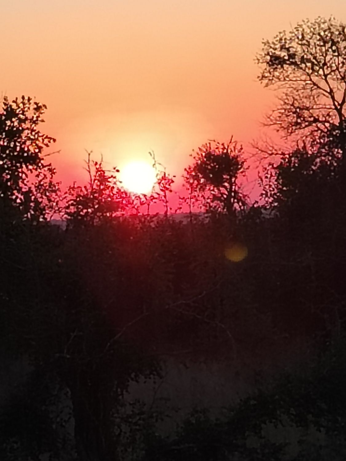 Stars, Wine &amp; Wilderness 🌿 🦒⭐