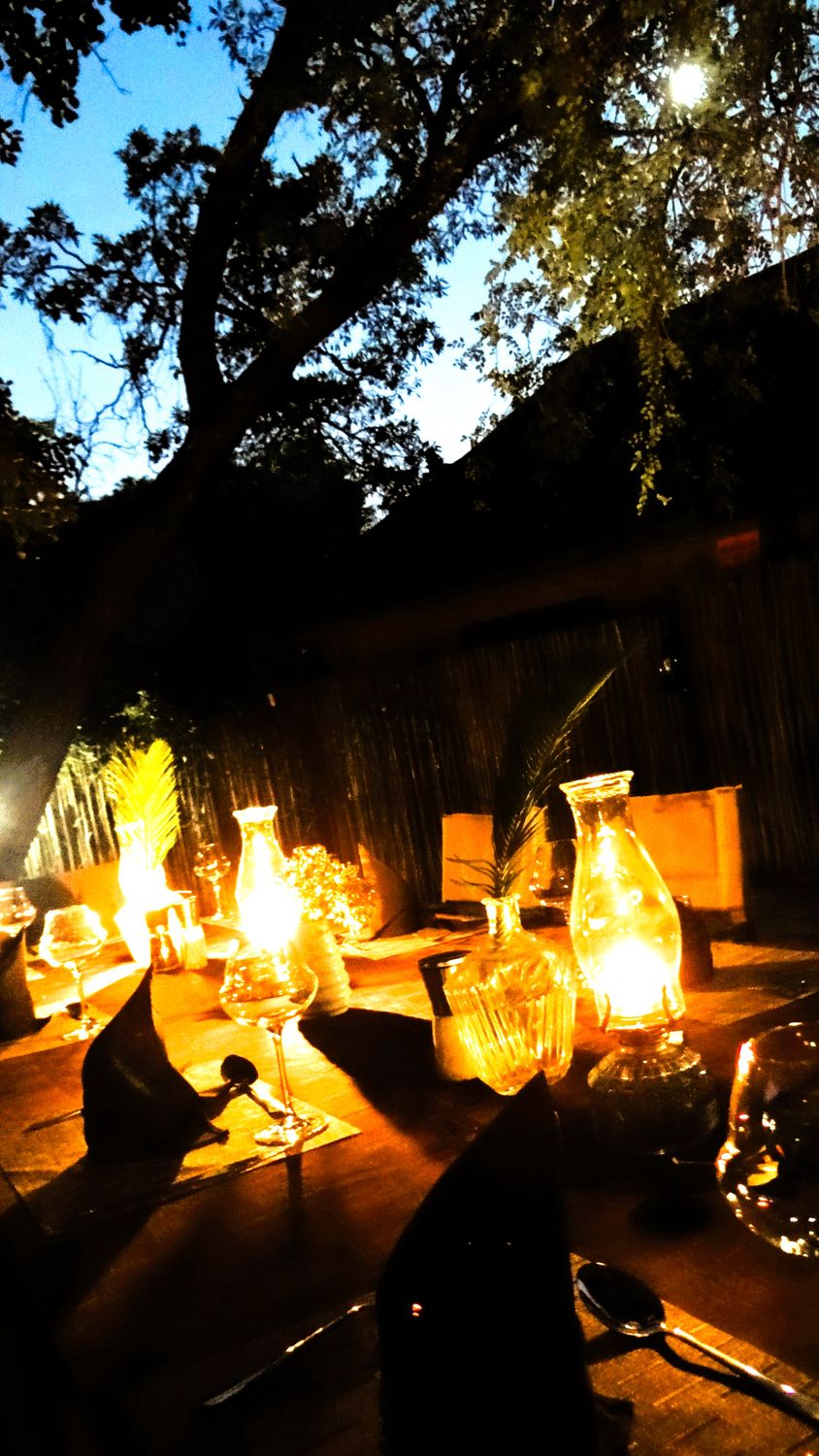 Stars, Wine &amp; Wilderness 🌿 🦒⭐