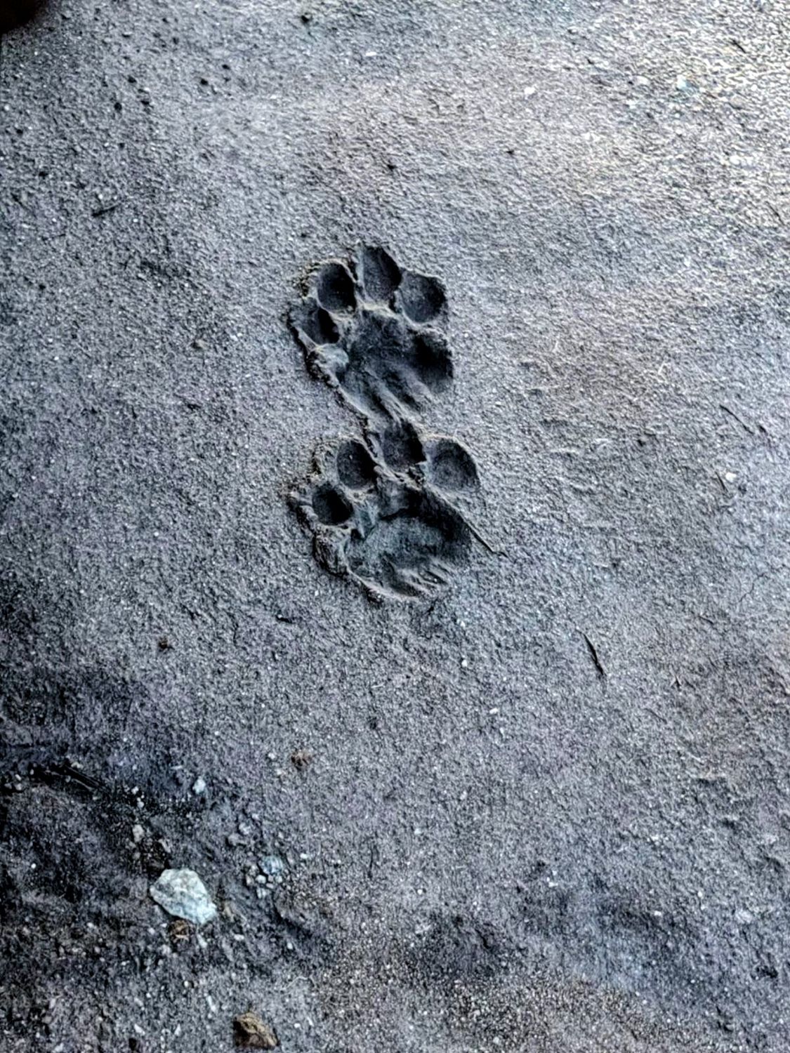 Stars, Wine &amp; Wilderness 🌿 🦒⭐