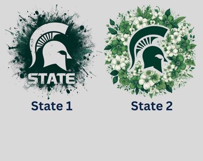 Michigan State University Shirts