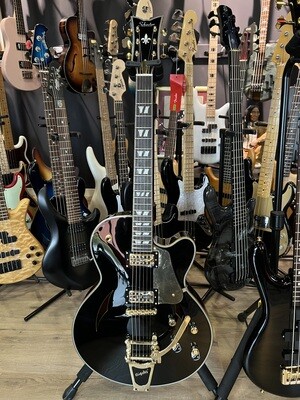Schecter Coupe
