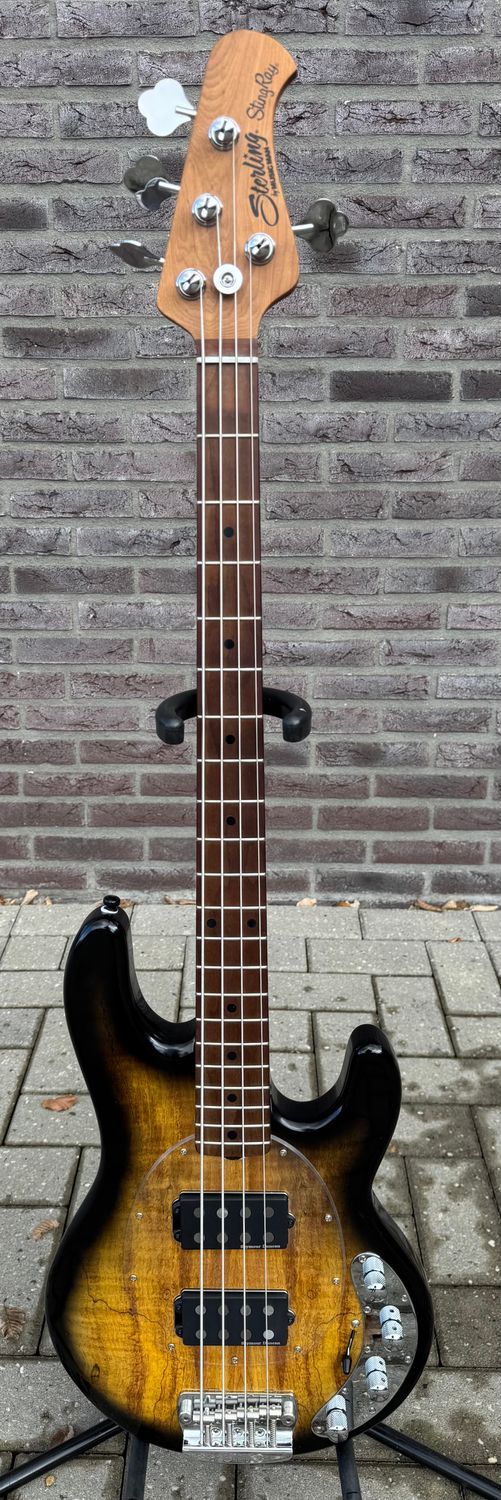 Music Man Sterling StingRay RAY34HH Spalted Maple