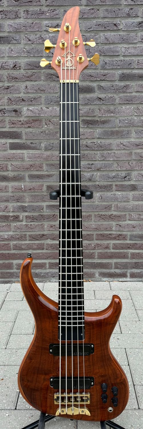 Alembic Orion 5