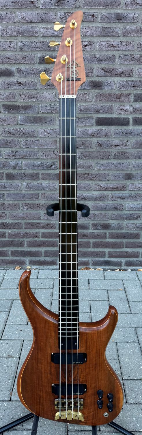 Alembic Orion