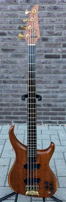 Alembic Orion