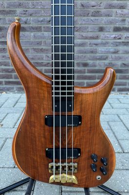 Alembic Orion