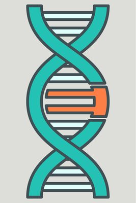 Genetics