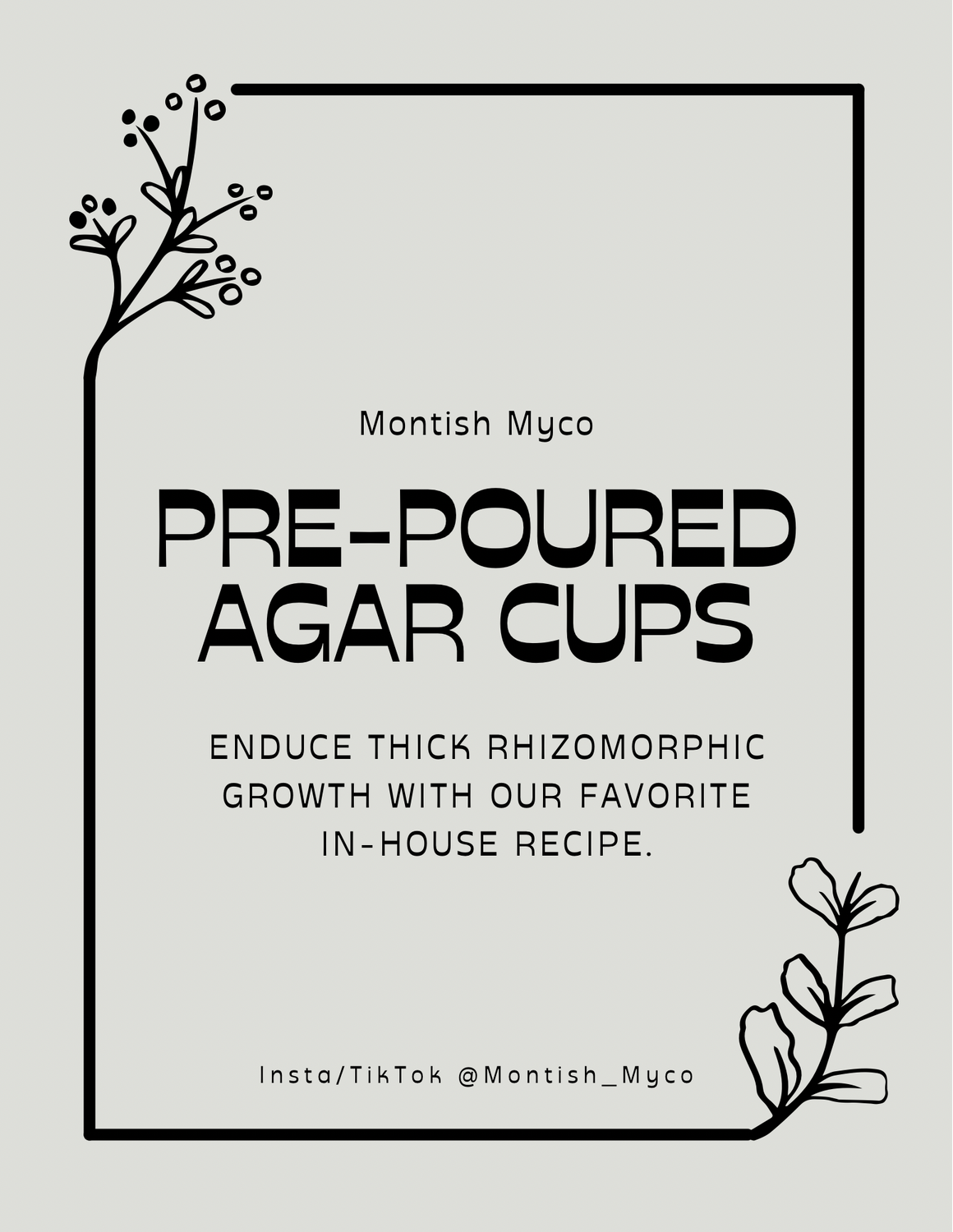 Pre-Poured Agar Cups