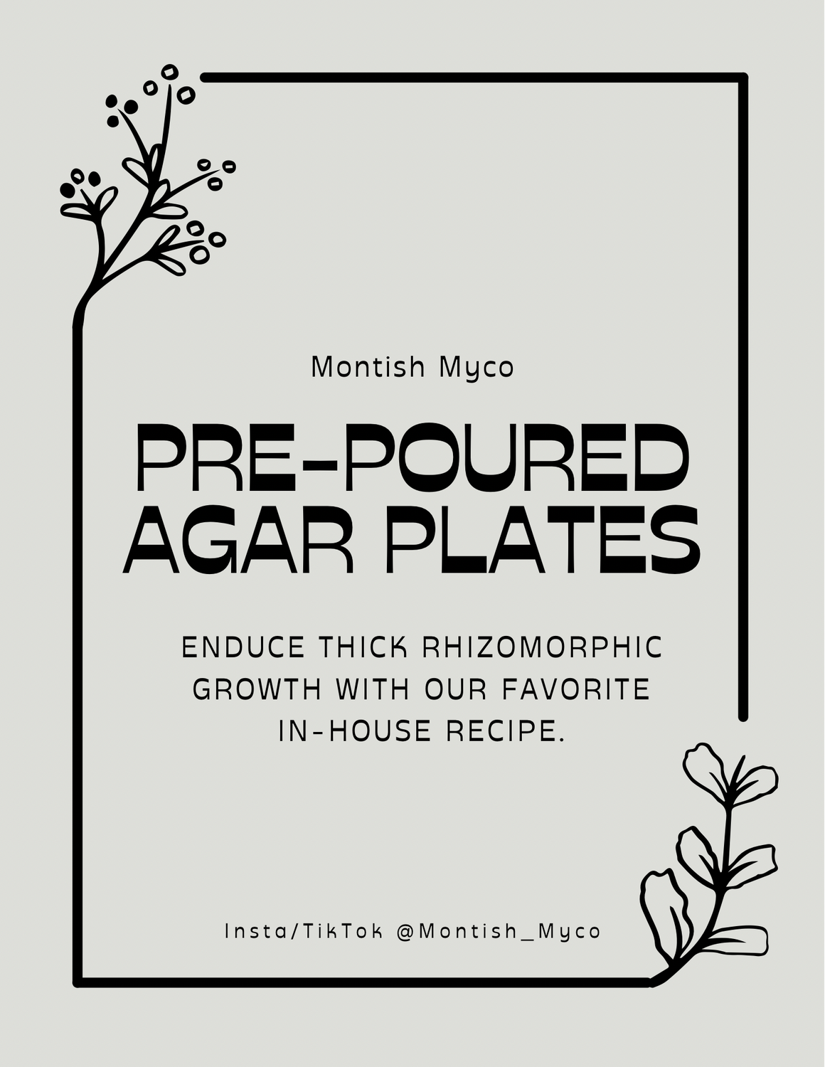 Pre-Poured Agar Plates