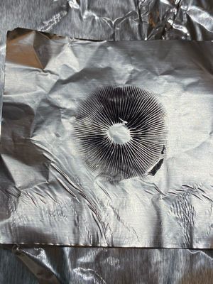 Prints